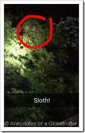 Jake's Sloth Spotting