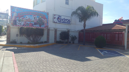 Primaria Cedros, Av Independencia 1912, Trojes de Alonso, 20115 Aguascalientes, Ags., México, Escuela de primaria | AGS