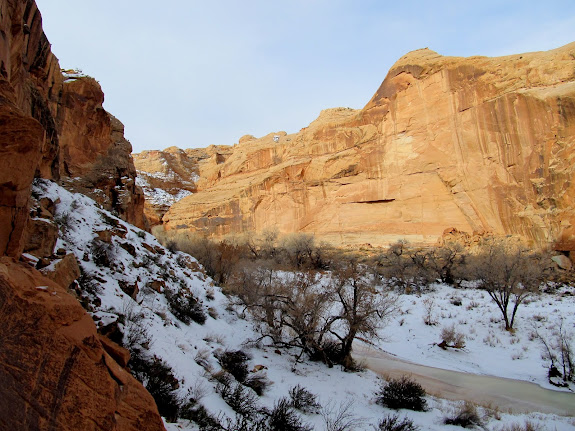 View from the High Gallery across the canyon to Horseshoe Gallery