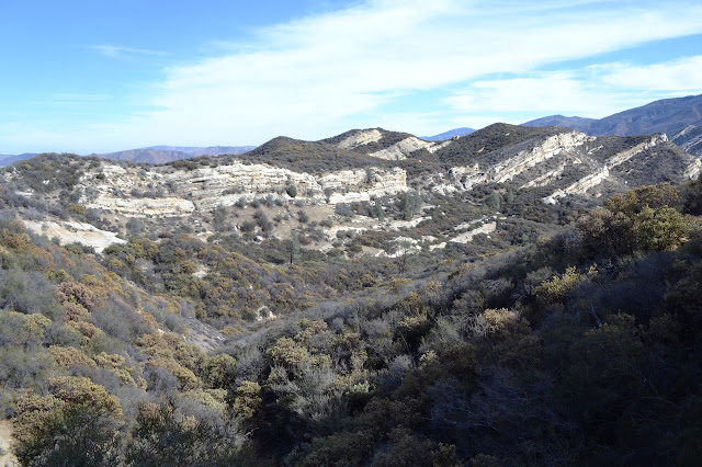 rocks along the south side of Sulphur Spring Canyon