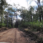 Nepean Lookout fire trail (150657)