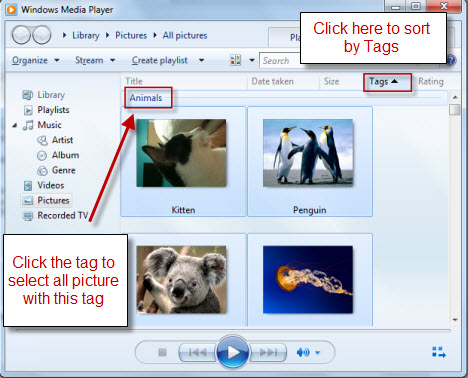 Windows Media Player 12