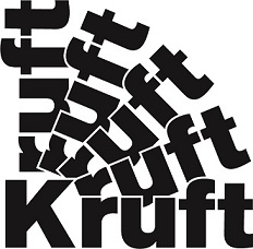 BMW Kruft Oberhausen logo