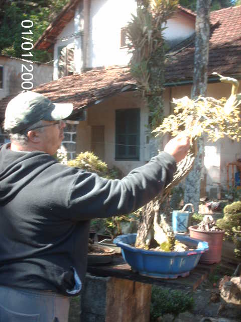 Visita ao Alexandre Chow, Petropolis Rj. ... PICT1390