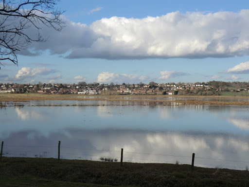 CIMG9983 Winter view from Little Hanger hide, Pulborough Brooks