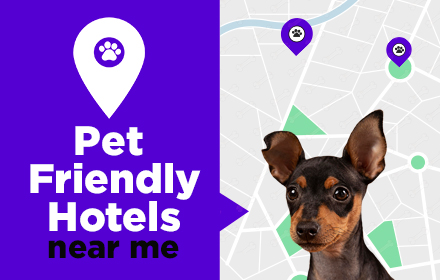 Pet Friendly Hotels Near Me small promo image