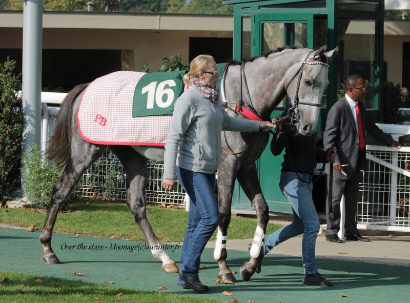 Photos Auteuil 11-10-2015 IMG_5281