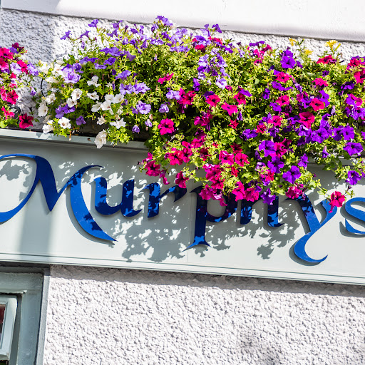 Murphys Bar logo