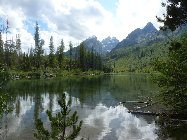 West Thumb, (PN Yellowstone) y Grand Teton. 15 Julio - LAS ROCOSAS DE CANADA. YELLOWSTONE Y GRAND TETON. (79)