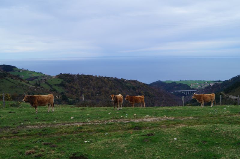 Pico Paradiella (Valdés-Cudillero) - Descubriendo Asturias (12)