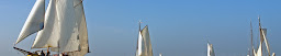 Profile cover photo