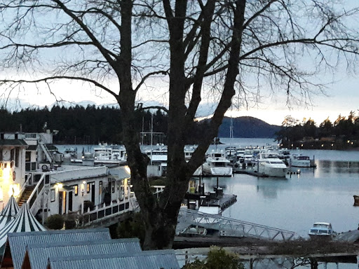 Grocery Store «Roche Harbor Grocery Store», reviews and photos, 248 Reuben Memorial Dr, Friday Harbor, WA 98250, USA