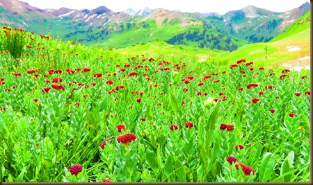 Crested Butte137-15 Jul 2016