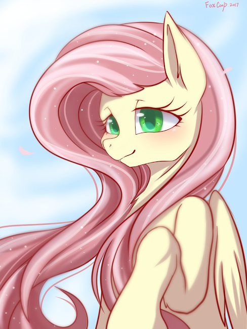 [Bild: MyLittlePonyFluttershybyFoxcarp1495744661839.png]