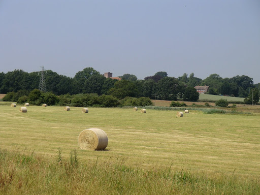 CIMG7987 Bales of hay and Warehorne church