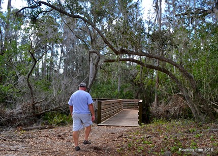 Where does the boardwalk go?