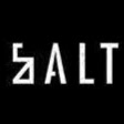 Salt boutique logo