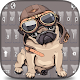 funny cartoon pug keyboard Download on Windows