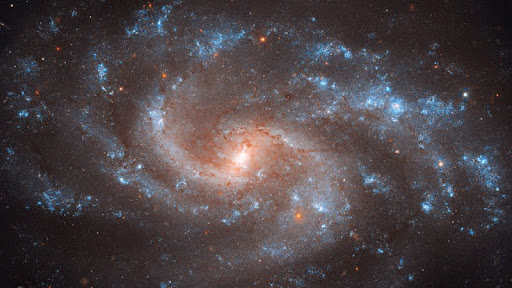 NGC 5584 Spiral Galaxy.jpg