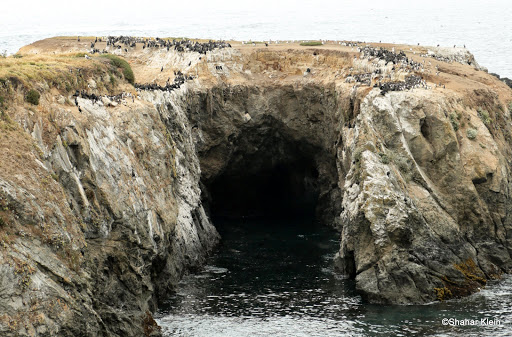 Mendocino Headlands State Park