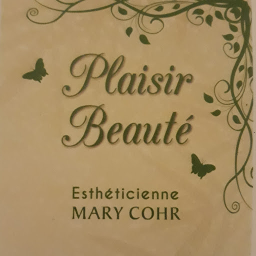 Plaisir Beauté logo