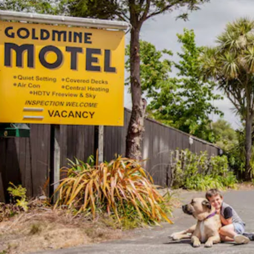 Goldmine Motel logo