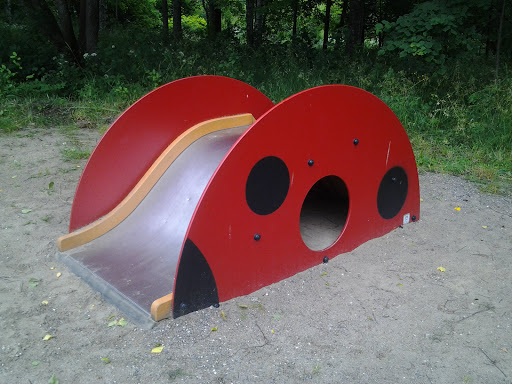 Ladybug Slide