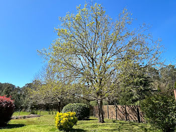 terrain à Azur (40)