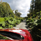 Jurassic PArque??? - Parque Tantauco -  Chiloe, Chile