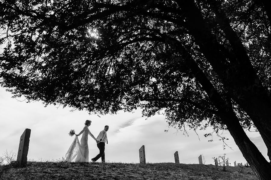 Fotograful de nuntă Maksim Shubovich (maxshub). Fotografia din 10 octombrie 2016