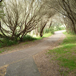 Foot path on the Owens Walkway near Cain St in Redhead (390806)