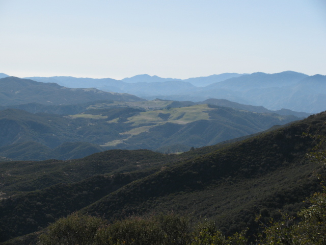 grass field in the distance