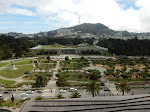 Looking towards the Sciences Museum and Sutro Tower