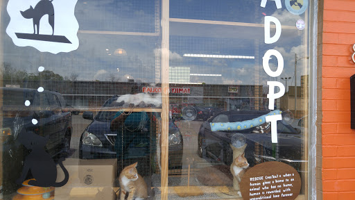 Pet Supply Store «Goin To the Dogs & Cats Pet», reviews and photos, 814 Wellman Ave NE, Huntsville, AL 35801, USA