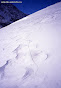 Avalanche Mont Thabor, secteur Punta Bagna, Combe, secteur du Lac - Photo 6 - © Duclos Alain