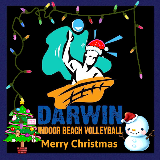 Darwin Indoor Beach Volleyball logo