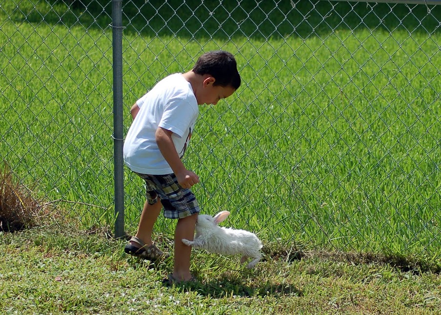 Happy Easter.... 2011-08-22+Playing+with+Bunnies+020