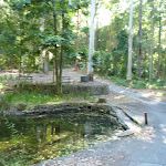 A small pond and picnic area at the Blackbutt Reserve (399625)