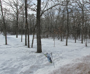 Snowy yard