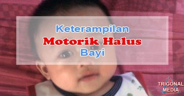 Keterampilan Motorik Halus Bayi