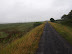 The long lane to Barnstaple