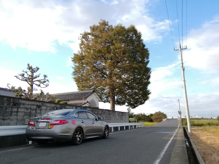 フーガの大神神社大鳥居よりは小さい・大きなポプラの木・奈良県橿原市中町に関するカスタム事例の投稿画像4枚目