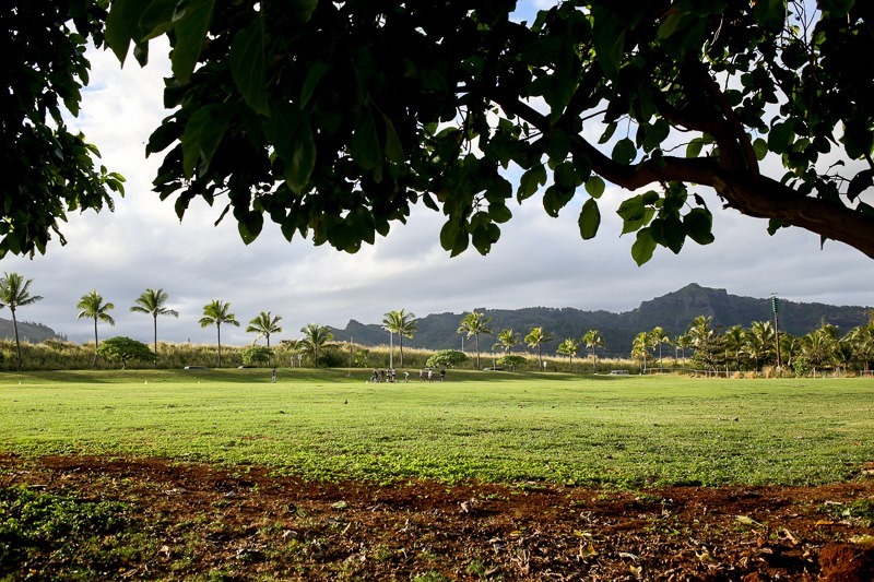 kauai coffee and frisbee-6