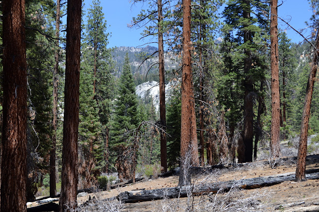 peaks and granite dome