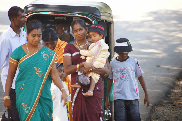 Шри-Ланка: на машине 1 100 км,  фото без комментариев, март-апрель 2013г.