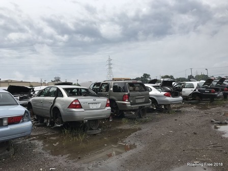 Rows of cars