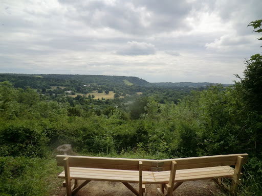 CIMG1140 View of Box Hill from the Centenary Copse viewpoint