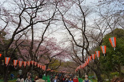 Tokyo: mercado Tsukiji, Ueno,Yanaka y Akihabara - Japón en 15 días-Hanami 2015 (9)