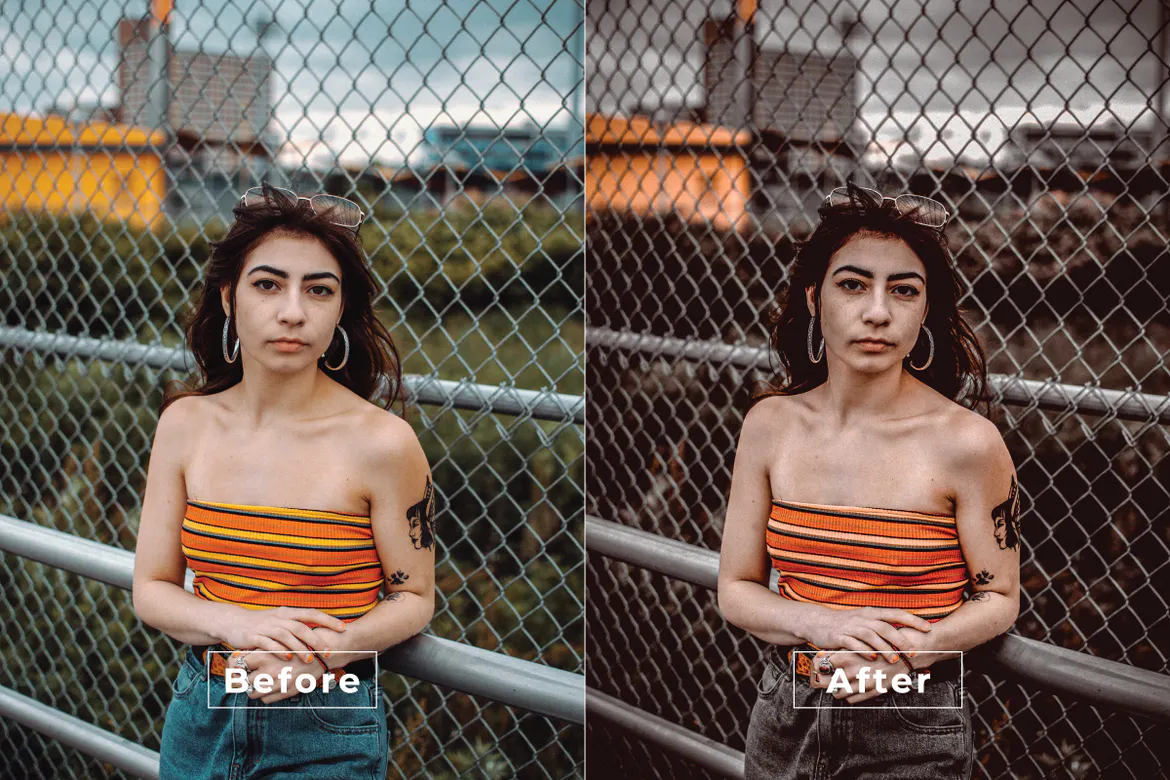 Dagfinn Desktop and Mobile Lightroom Preset 3 image