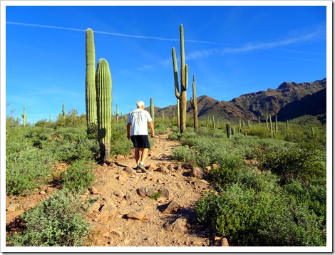 Hieroglyphic Trail, Superstition Mountains